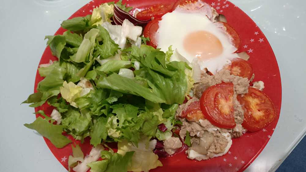 image Thon, Tomates et Champignons Comme une Tarte Sans Pâte